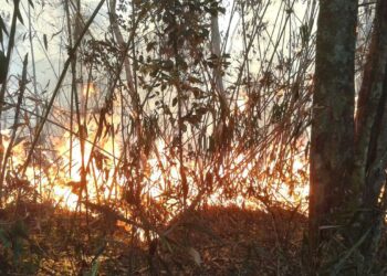 Bombeiros combatem fogo na Serra dos Órgãos pelo terceiro dia seguido
