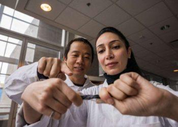 Bateria elástica e à prova d’água melhora performance de eletrônicos vestíveis