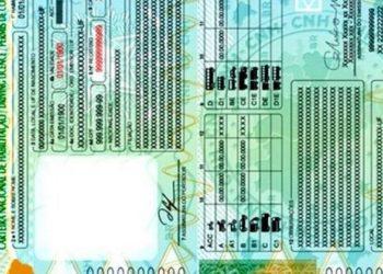 Brasil terá nova Carteira de Habilitação em 2022; veja modelo