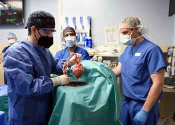 O americano que recebeu 1º transplante de coração de porco da história
