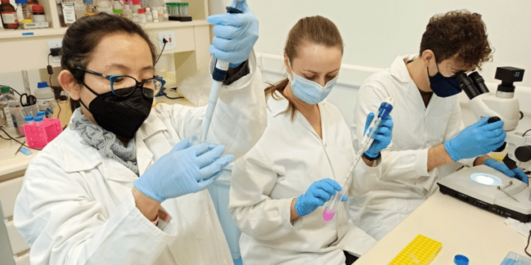 Pesquisadores do Laboratório de Parasitologia do Instituto Butantan. Da esquerda para direita: Ana Carolina Tahira, Daisy Woellner Santos e Murilo Sena Amaral Murilo Sena Amaral/Fapesp