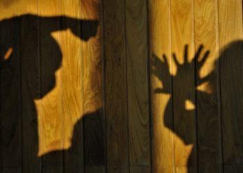 Maria da Penha On-Line tem 1,3 mil registros em um ano