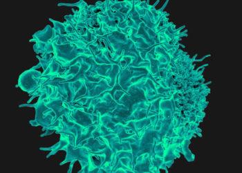 Magnésio pode ter papel essencial no tratamento de câncer