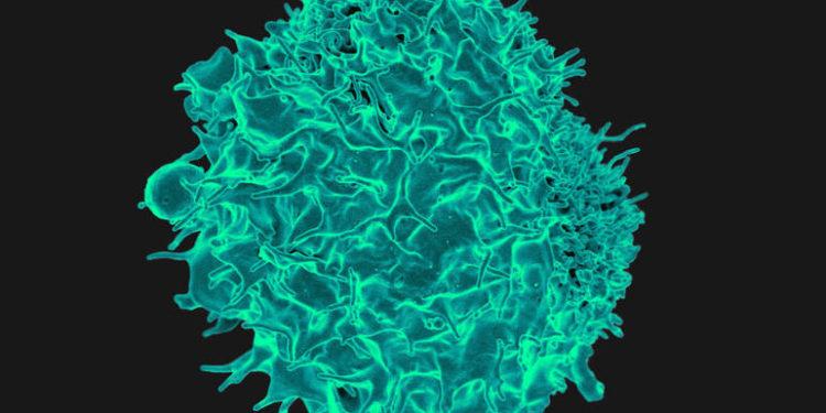 Magnésio pode ter papel essencial no tratamento de câncer