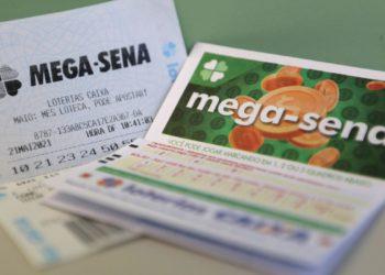 Mega-Sena, concurso 2.449: aposta única de Blumenau (SC) acerta as seis dezenas e leva R$ 36,7 milhões