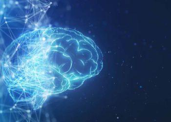 Cientistas brasileiros descobrem proteína ligada ao envelhecimento do cérebro