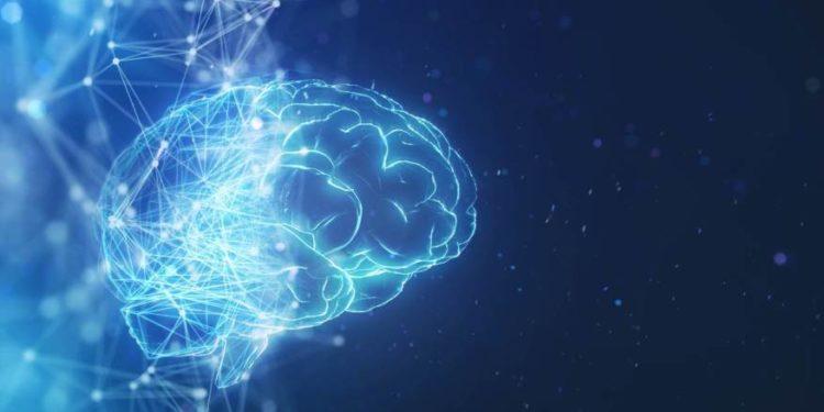 Cientistas brasileiros descobrem proteína ligada ao envelhecimento do cérebro