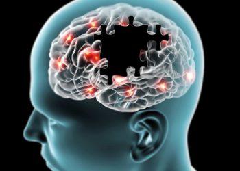 Estudo abre portas para entender melhor doenças como Alzheimer e Parkinson