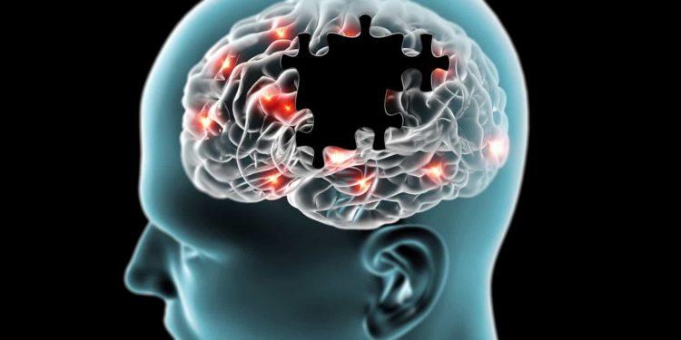 Estudo abre portas para entender melhor doenças como Alzheimer e Parkinson