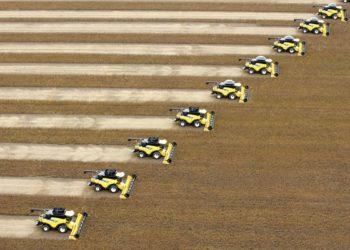 Portaria define vazio sanitário da soja para 20 estados e o DF