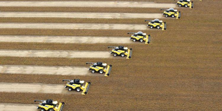 Portaria define vazio sanitário da soja para 20 estados e o DF