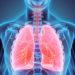 Cientistas mudam tipo sanguíneo de pulmão para simulação de transplante