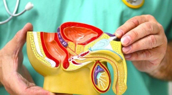 Ferida no pênis pode indicar câncer: ‘Diagnóstico precoce é essencial para evitar amputação’