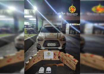 Cerca de 60kg de maconha são apreendidos em condomínio de Santa Maria