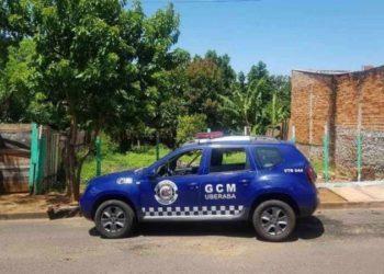 Homem que matou 9 cães está foragido; protetores de animais vão à Justiça