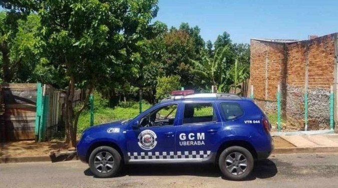 Homem que matou 9 cães está foragido; protetores de animais vão à Justiça