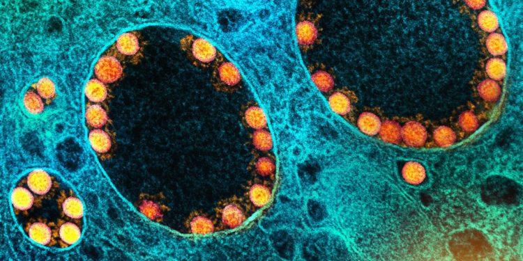 Covid-19: incidência de novos casos volta a subir na Europa