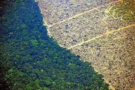 Bancada ruralista quer tirar o Mato Grosso da área da Amazônia Legal