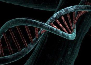 Banco genômico vai permitir aprimorar o diagnóstico de doenças genéticas no Brasil