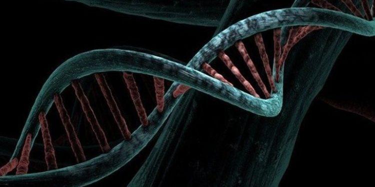 Banco genômico vai permitir aprimorar o diagnóstico de doenças genéticas no Brasil