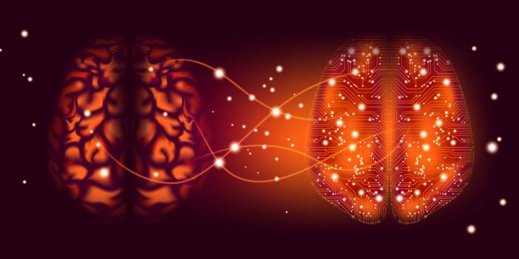 Spray nasal para prevenir Alzheimer tem sucesso em estudo com animais