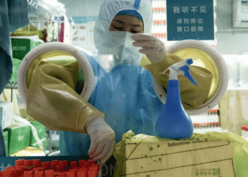 China detecta primeiro caso humano de gripe aviária H3N8
