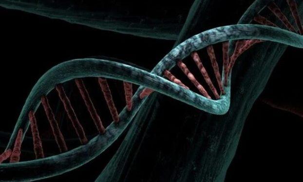 Estudo revela que origem do DNA veio de meteoritos