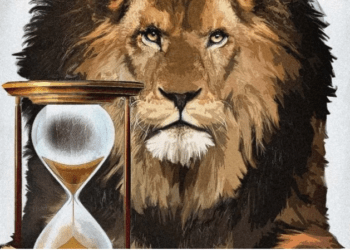 Imposto de renda: Não deixe para entregar declaração na última hora