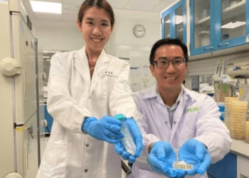 Bactérias do bem: Escudo natural pode turbinar probióticos do corpo