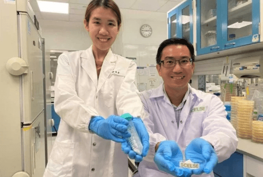 Bactérias do bem: Escudo natural pode turbinar probióticos do corpo