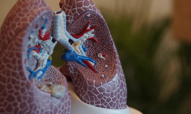 Cientistas acham microplásticos nas partes mais profundas dos pulmões