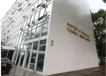 Auditores fiscais federais agropecuários decidem retomar mobilização