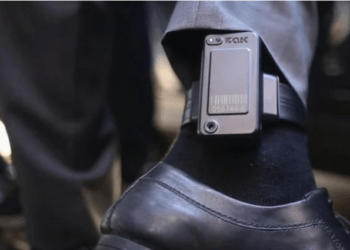 Defesa de Silveira descumpre prazo para explicações sobre tornozeleira