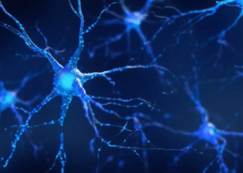 Estudo mostra que droga psicodélica tem potencial para combate à depressão