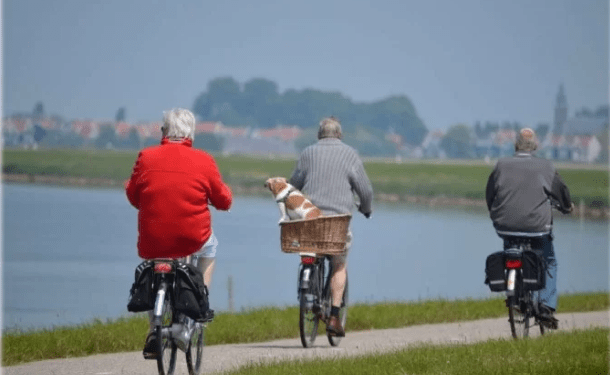 Pratica de exercícios ajuda a conservar o cérebro jovem, diz estudo