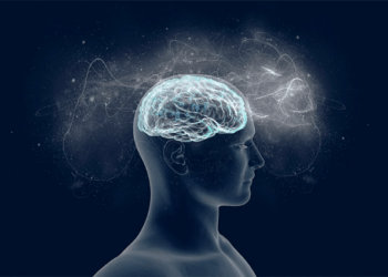 Neurocientista ensina dicas para aprender novos assuntos sem esquecer