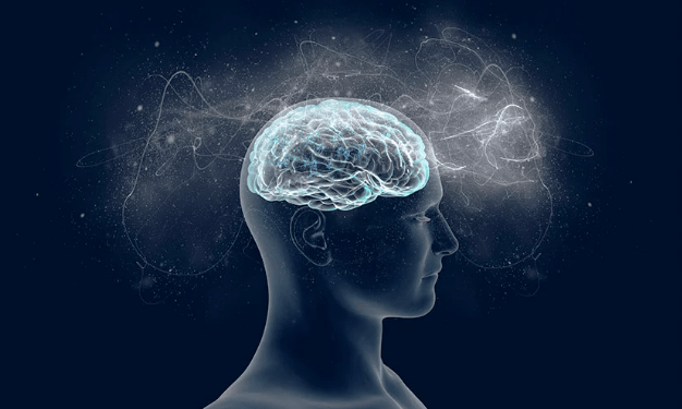 Neurocientista ensina dicas para aprender novos assuntos sem esquecer