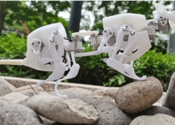 Com proposta de ajudar em resgates, cientistas criam robô em forma de rato