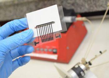 Alzheimer: identificados 42 genes para conhecer melhor a doença