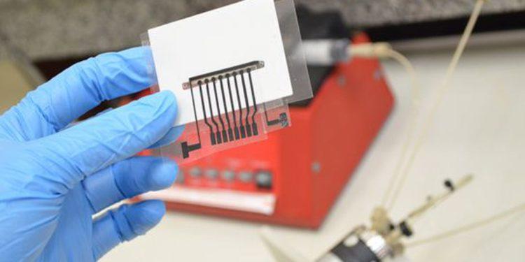 Alzheimer: identificados 42 genes para conhecer melhor a doença