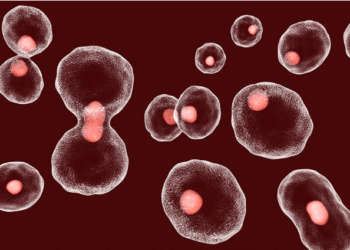 Vacina contra câncer do colo do útero mostra bons resultados iniciais