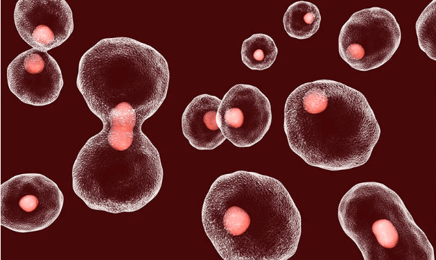 Vacina contra câncer do colo do útero mostra bons resultados iniciais