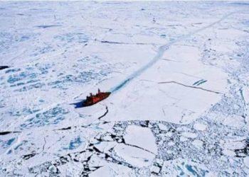 Twitter veta anúncios que contrariam o que diz a ciência sobre as mudanças climáticas