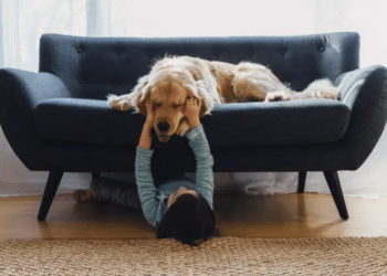 Clonagem de animais de estimação ganha força e faz sucesso nas redes