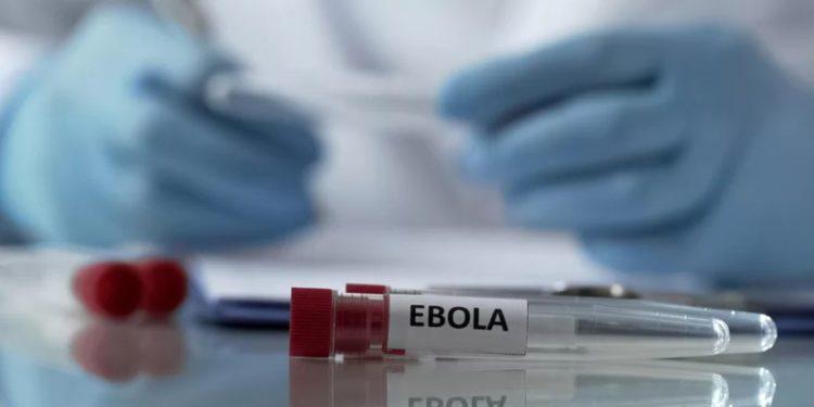 Ebola: novo surto da doença é declarado na República Democrática do Congo