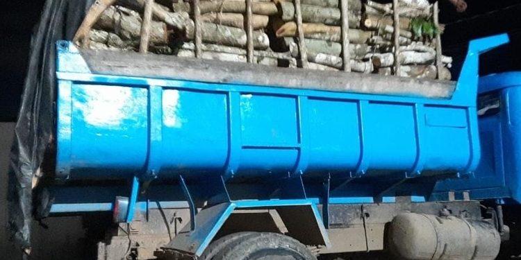 Caminhões são apreendidos com madeira ilegal no Amazonas