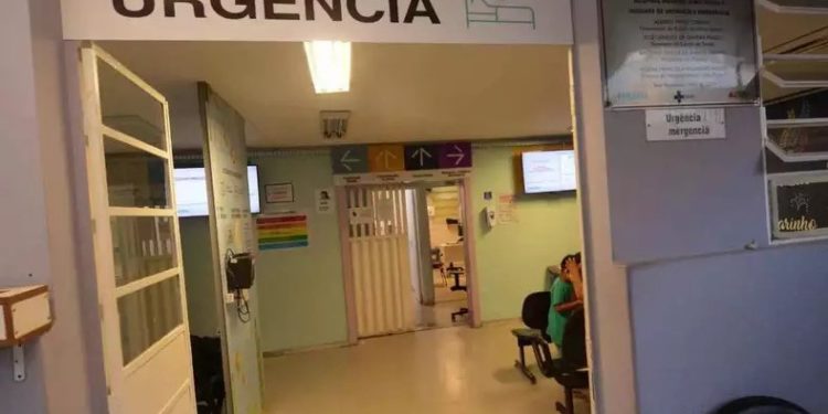 Ministério da Saúde investiga dois casos de raiva humana em Minas Gerais