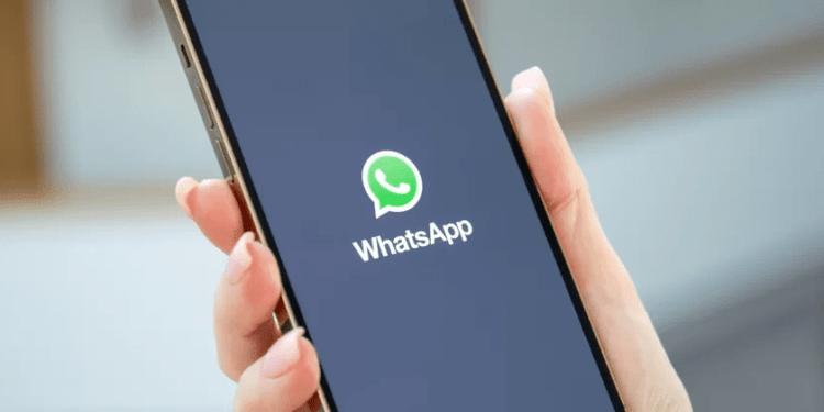 WhatsApp não atualiza contatos: usuários reclamam de bug no app