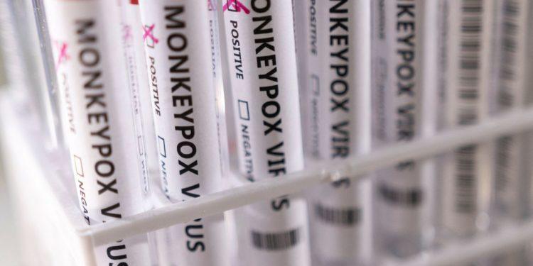 Varíola dos macacos pode ser contida se agirmos agora, diz OMS