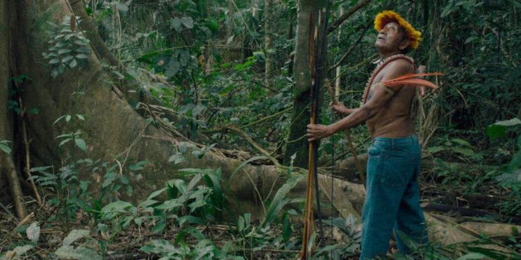 Terra indígena com isolados no Amazonas está há quase 6 meses desprotegida